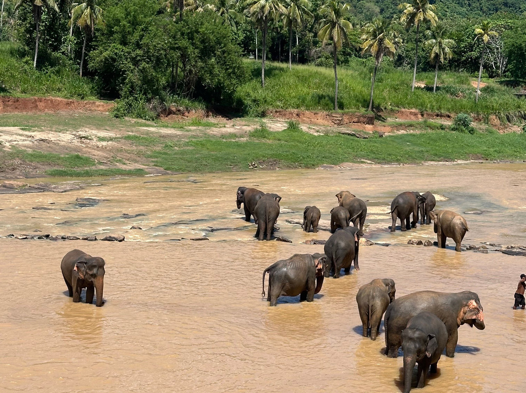 Charli Tours-亚洪加拉必去景点