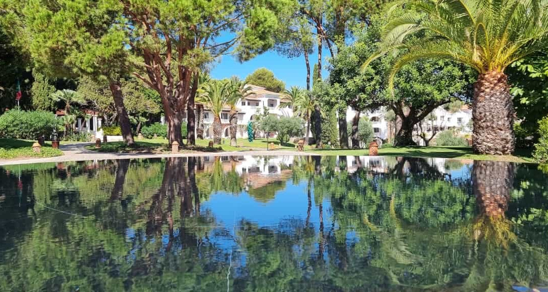 Drive in Motion - Automotive Events-Sargans必去景点