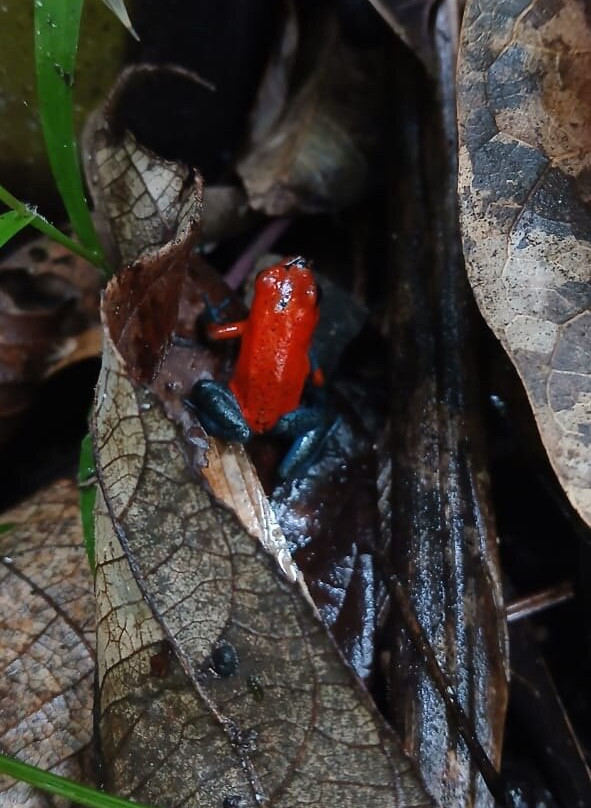 Matt's Fishing & Tours-萨迪纳尔必去景点