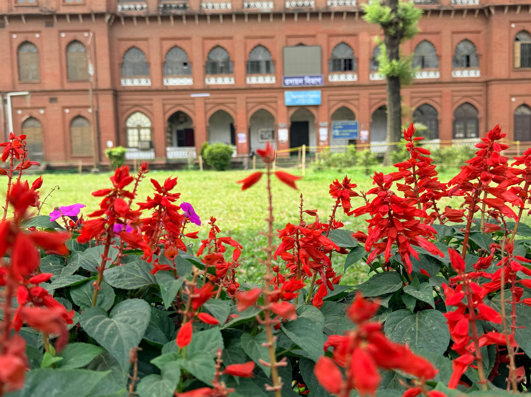 Trip To Bangladesh - Day Tours-达卡市必去景点
