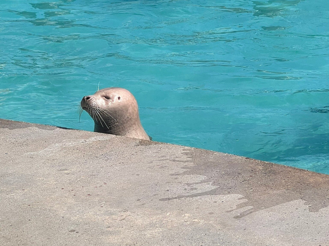 Natureland Seal Sanctuary-斯凯格内斯必去景点