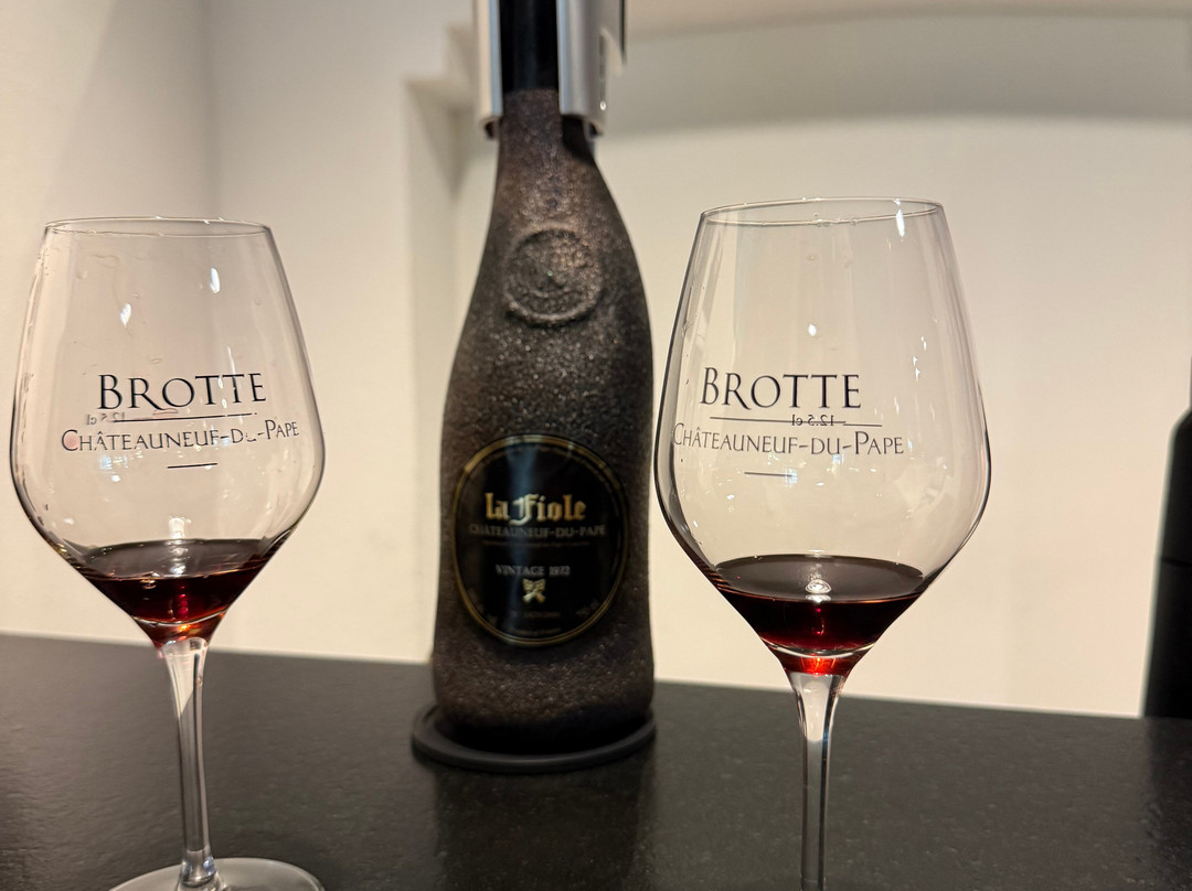 Musee du Vin Brotte Dégustation et Vente-教皇新堡必去景点