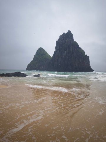 海洋旅馆-旅行者