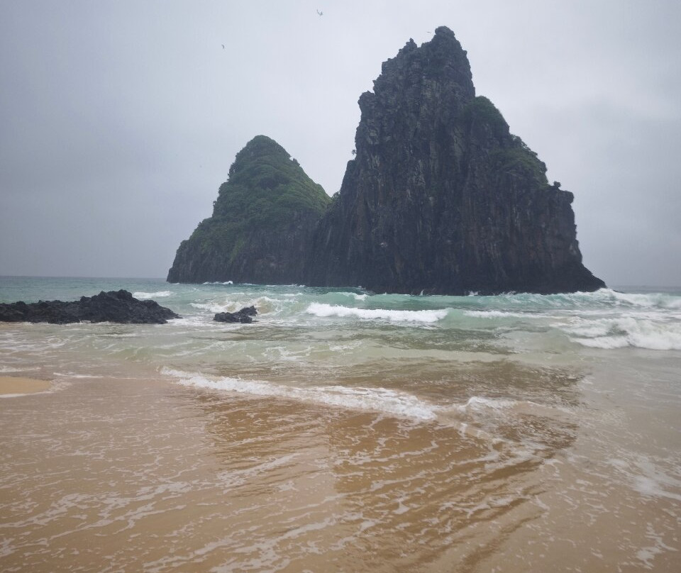 海洋旅馆主图