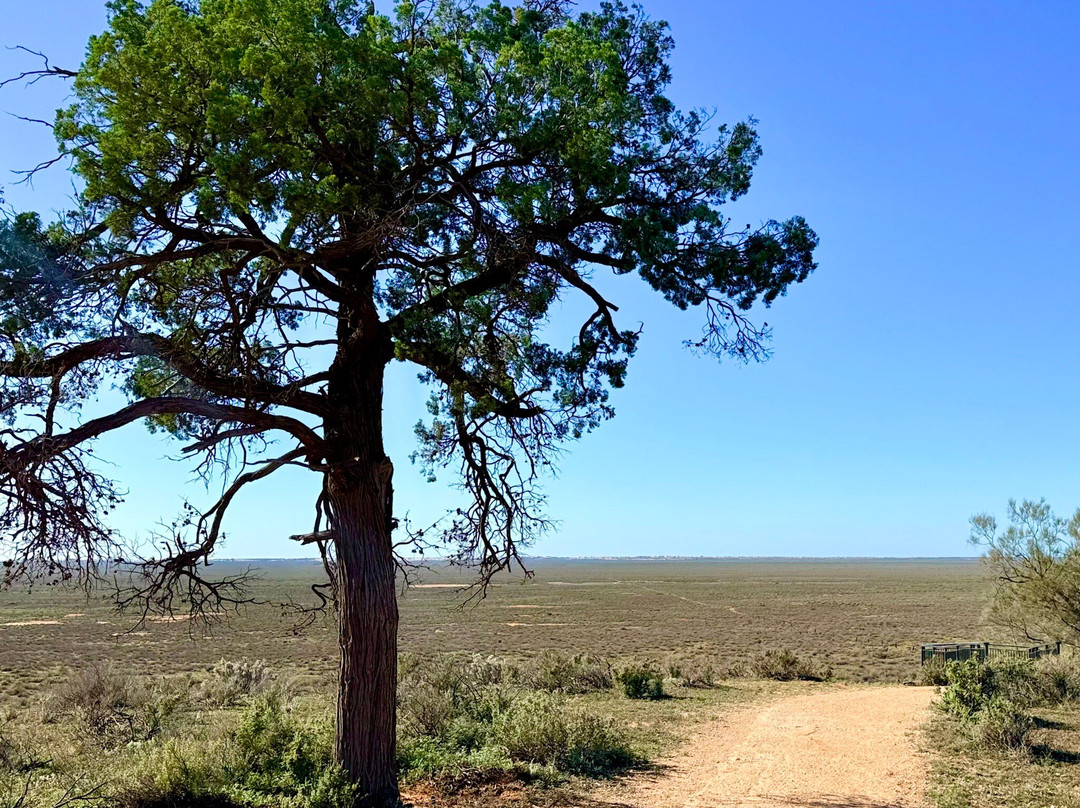 Discover Mildura - Day Tours-米尔杜拉必去景点