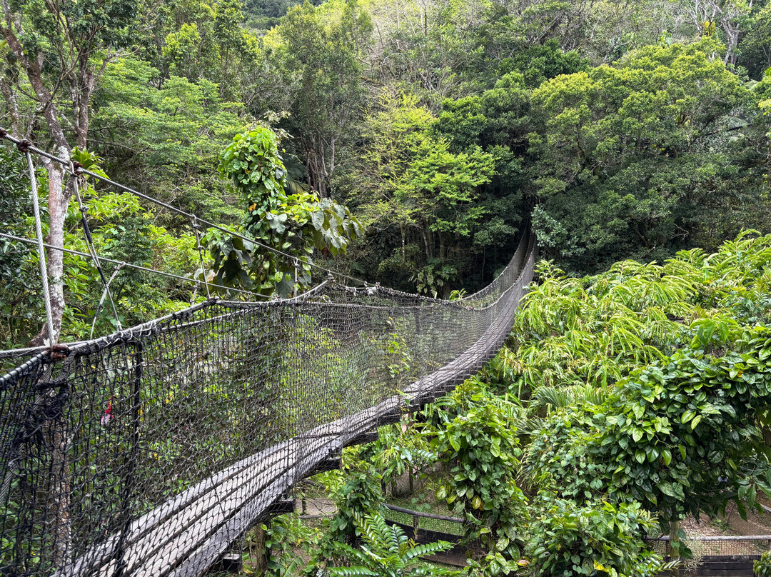 Zoo De Guadeloupe Au Parc Des Mamelles-Bouillante必去景点