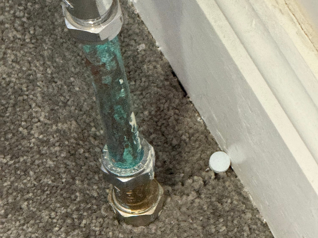 芒特普莱森特酒店主图