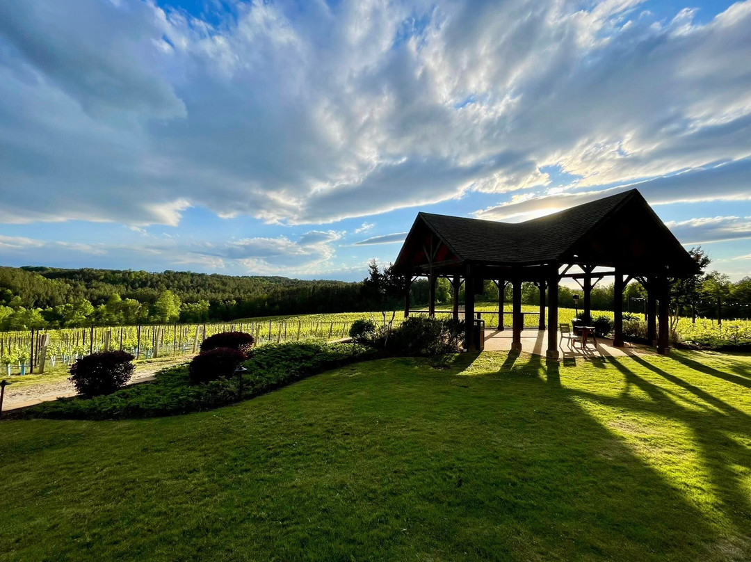 Mountain Brook Vineyards-Tryon必去景点