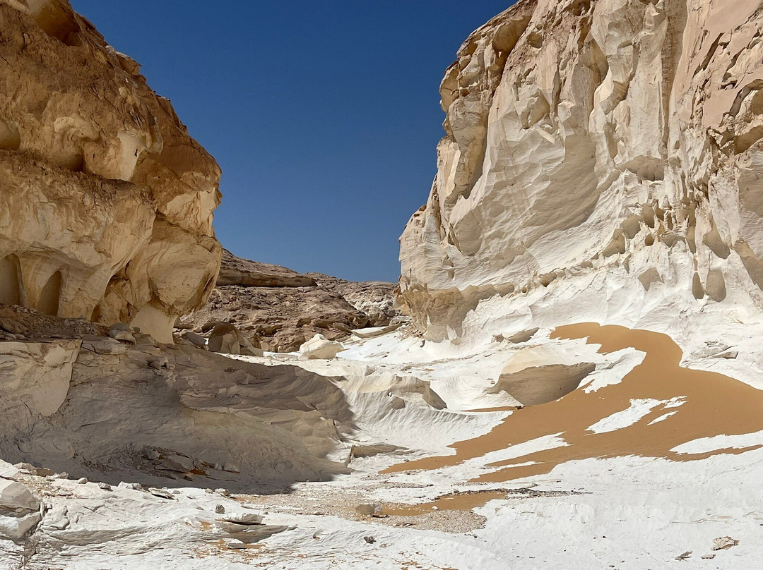 Egypt Camp White Desert-Bawiti必去景点