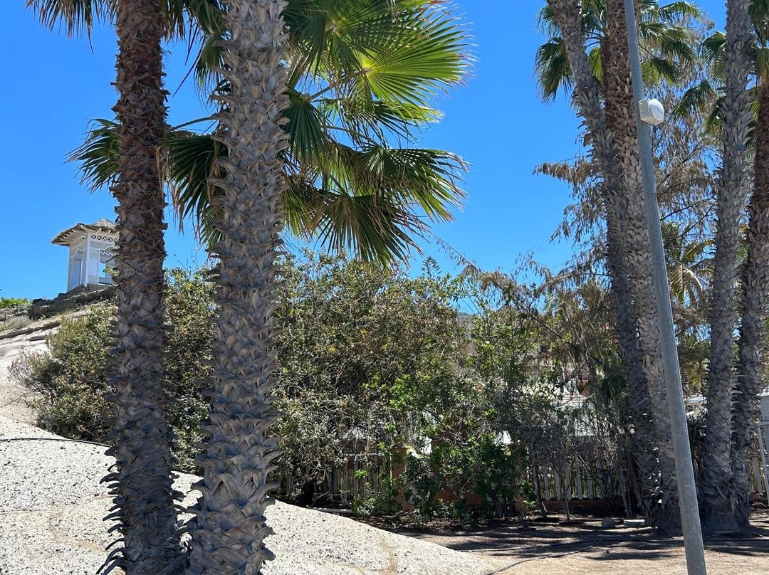 Playa del Duque-奥德杰海岸必去景点