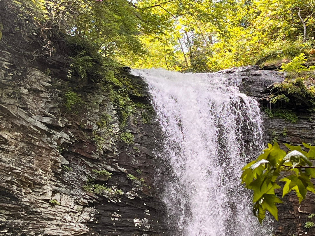 Cloudland Canyon State Park-Rising Fawn必去景点