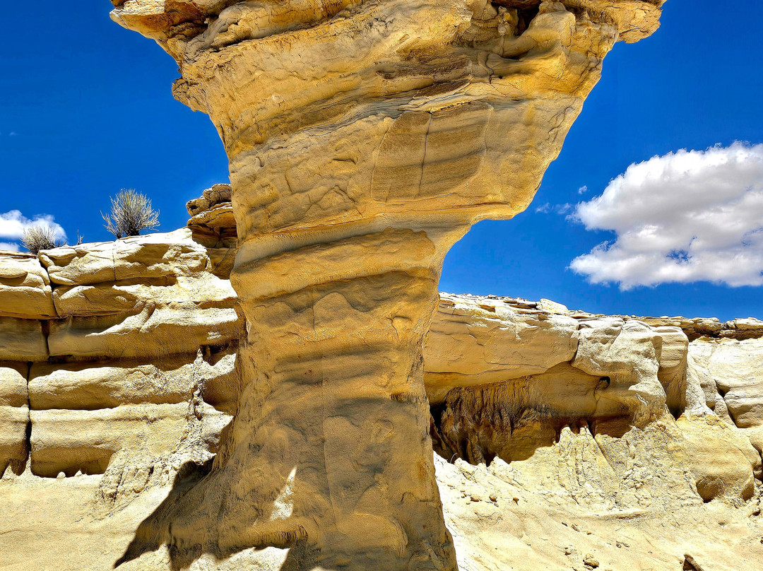 Ah-Shi-Sle-Pah Wilderness Study Area-Bloomfield必去景点