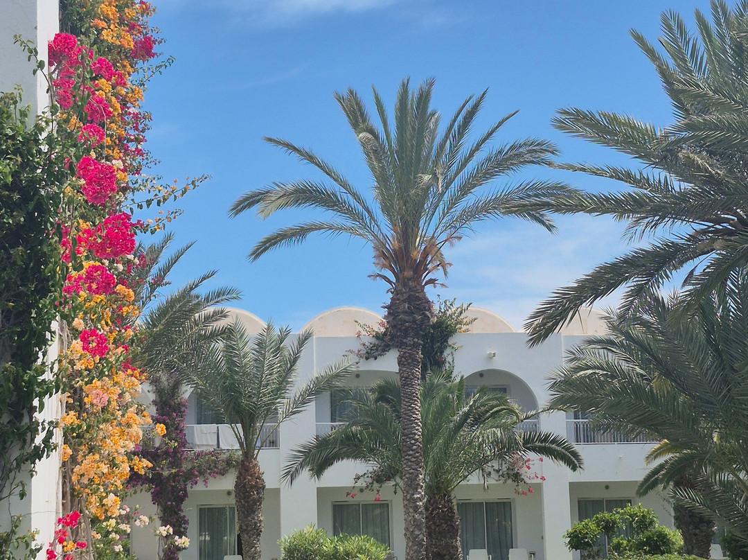Seabel Rym Beach Djerba主图