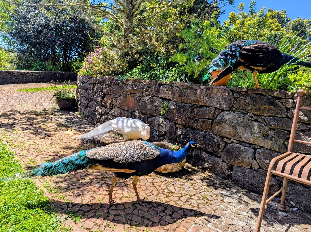 Bio Quinta do Pantano, Agro Turismo主图