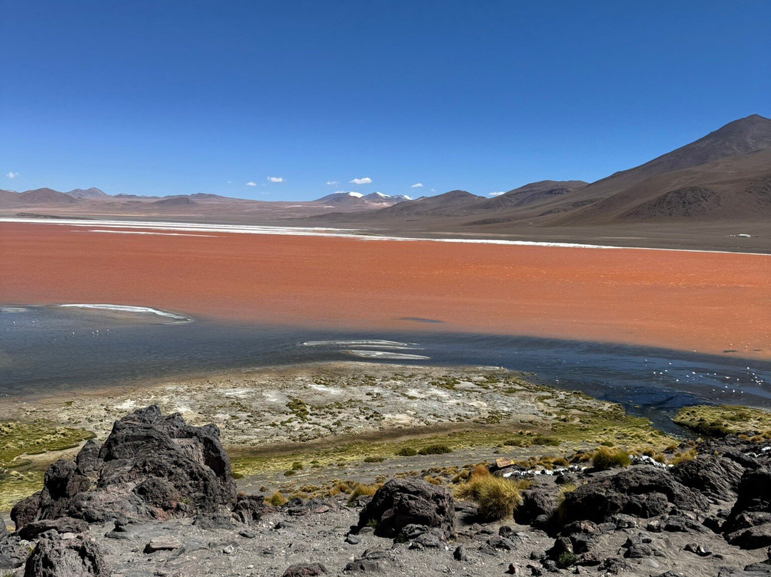 Eduardo Avaroa National Reserve of Andean Fauna-Potosi Department必去景点