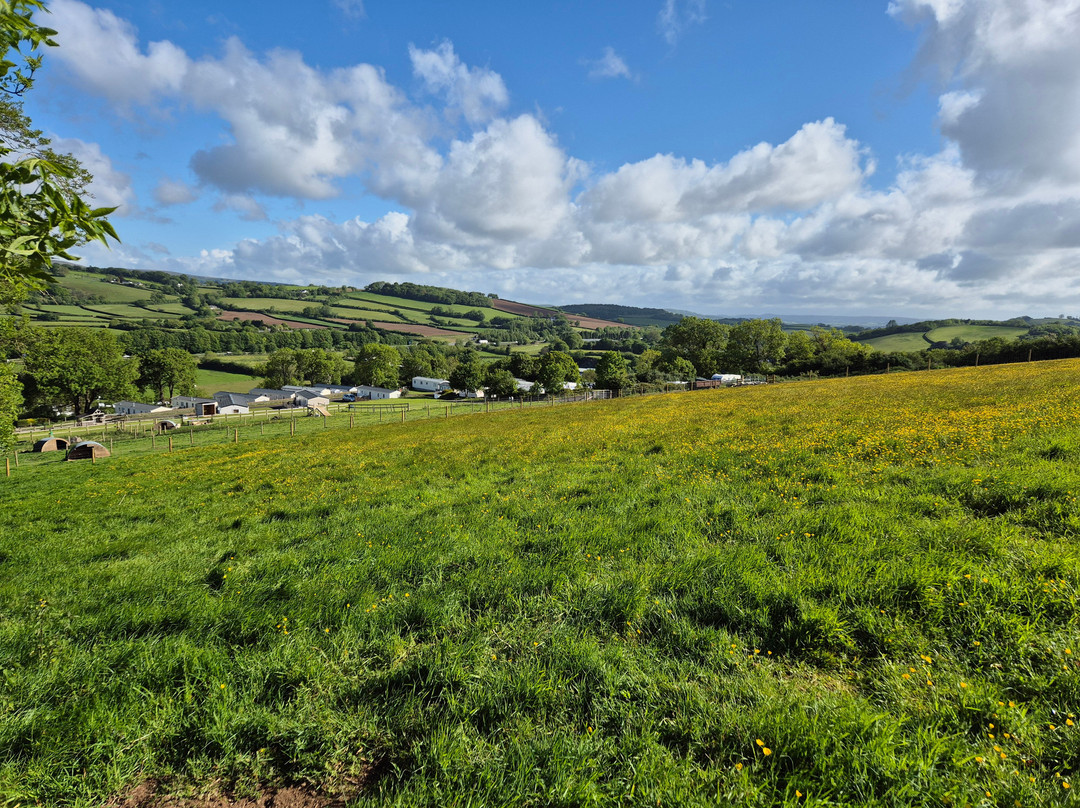 Parkers Farm Holiday Park