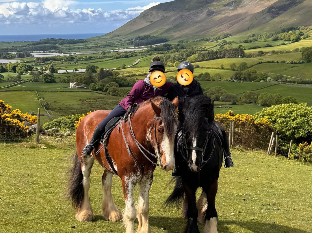 Cumbrian Heavy Horses-Millom必去景点