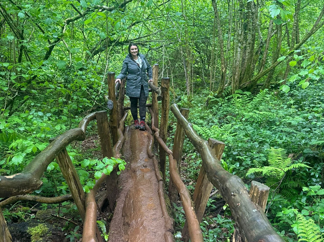 Puzzlewood-Coleford必去景点