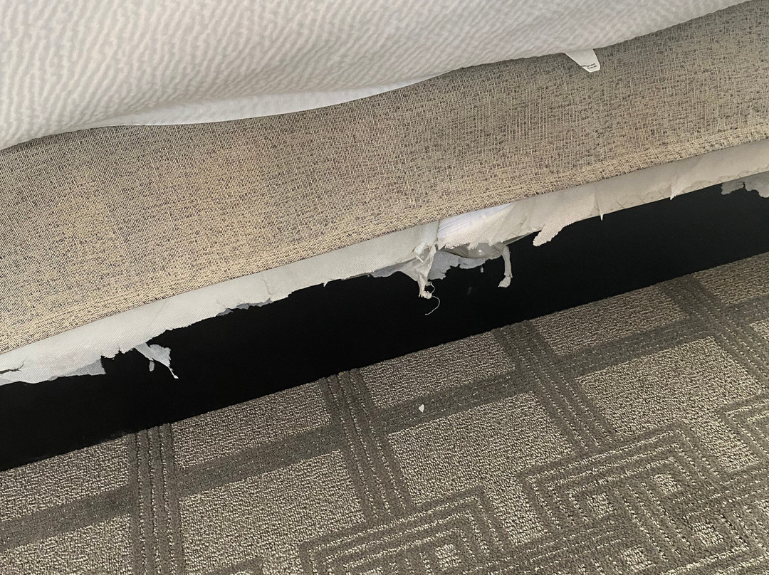 普茨茅斯市中心/海滨Residence Inn 酒店主图