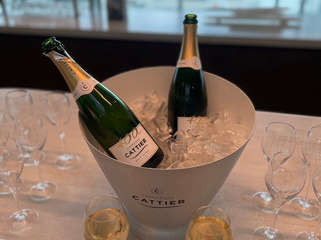 Star Alliance Lounge Paris CDG-鲁瓦西必去景点