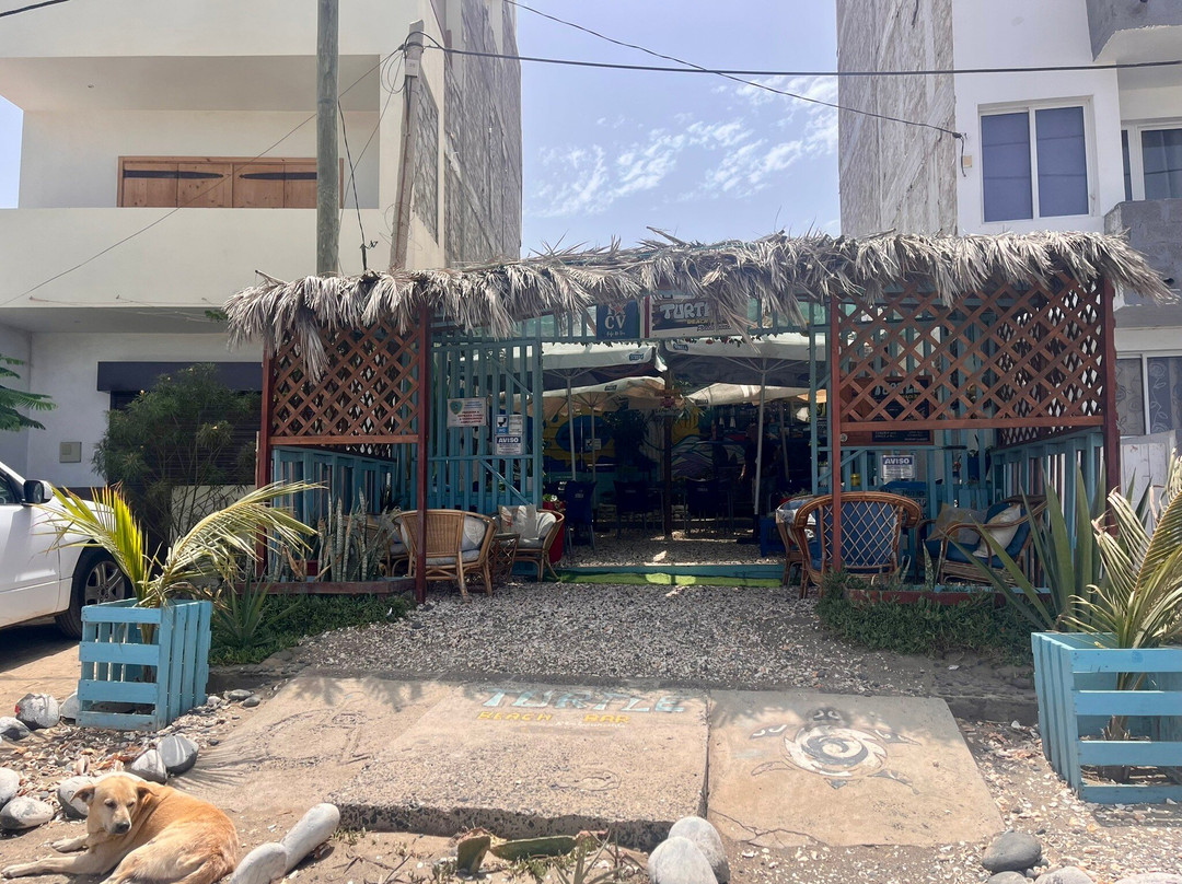 Turtle Beach Bar Sao Pedro