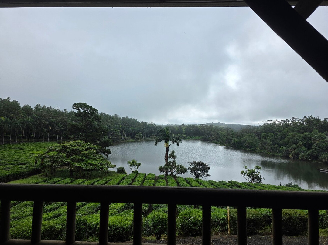 Bois Cheri Tea Factory and Tea Museum-Bois Cheri必去景点