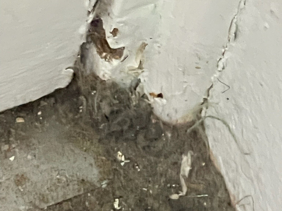 莫莉穆克海滩之家主图