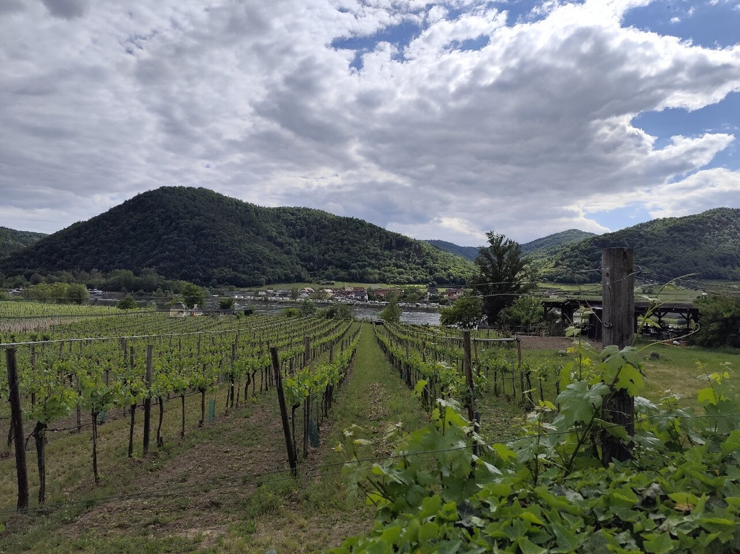 Burgruine Duernstein-都恩石必去景点