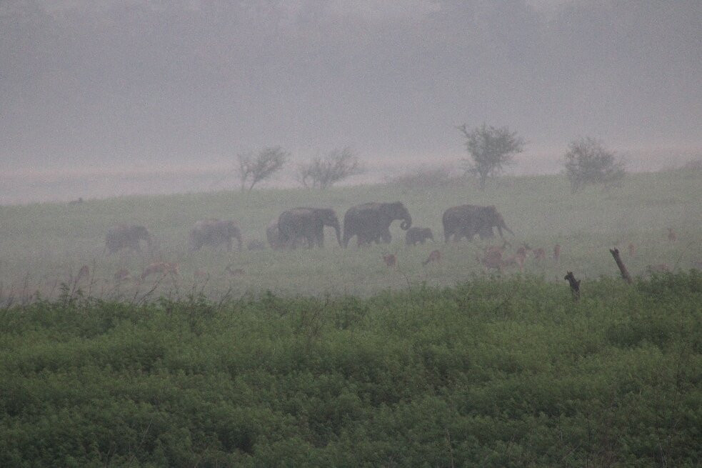 Jim Corbett National Park-Ramnagar必去景点