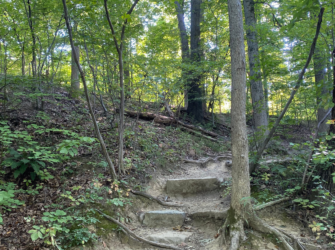 Brandywine Falls-Sagamore Hills必去景点