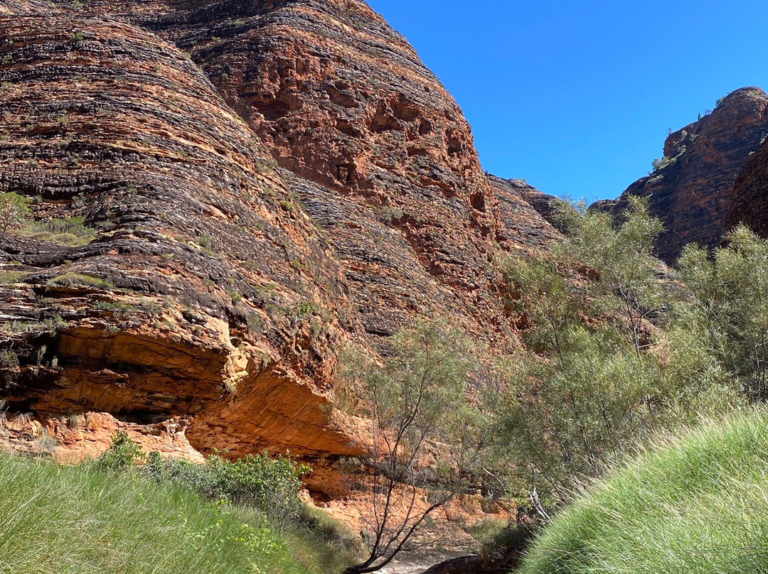 Purnululu National Park-Purnululu National Park必去景点