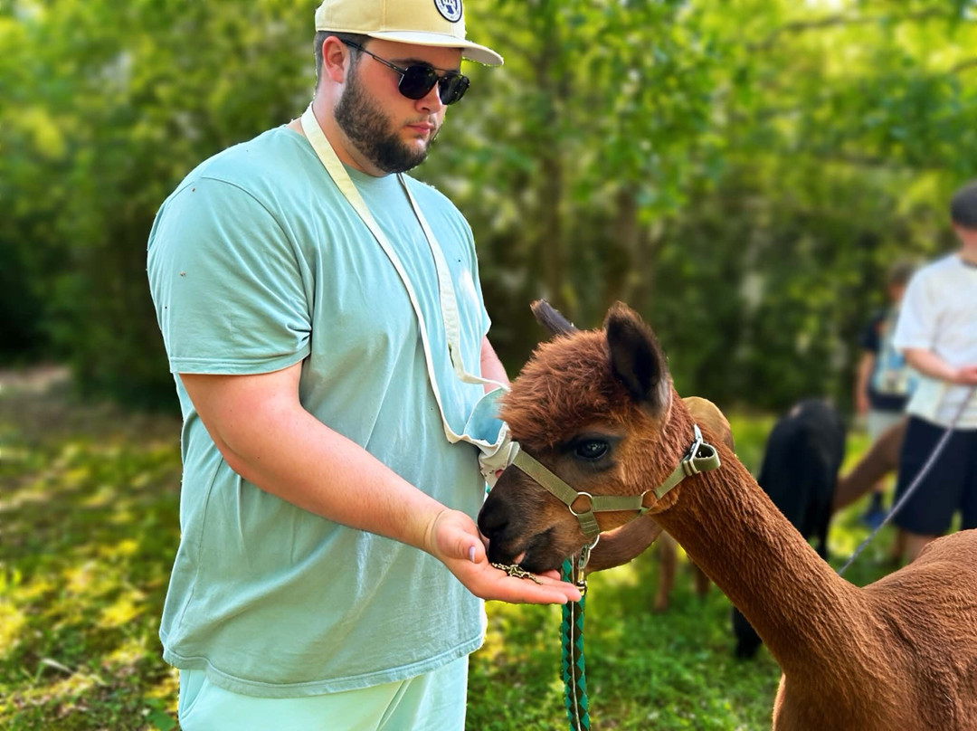 Nana Mac Alpaca Farm-Limalonges必去景点