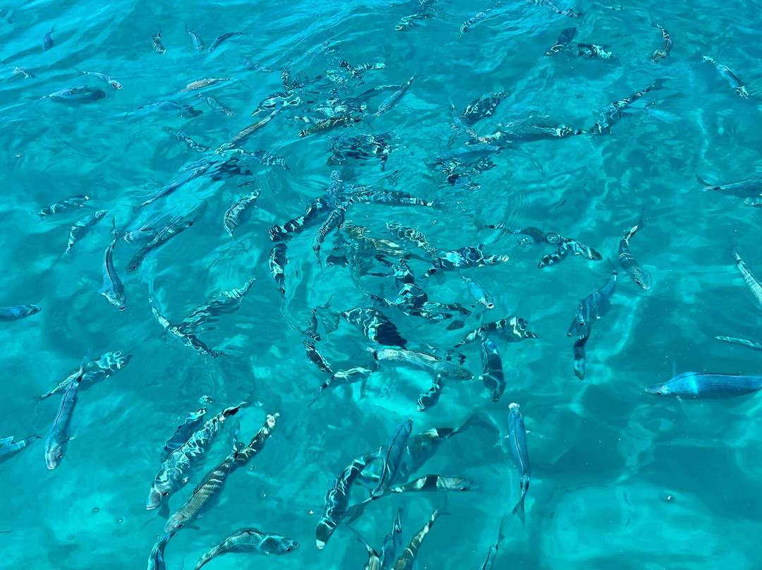 Davideo Beach-Santa Domenica必去景点