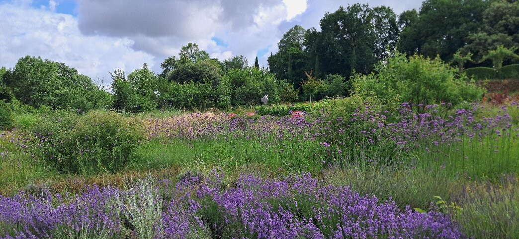 Eyrignac et ses Jardins-Salignac-Eyvigues必去景点
