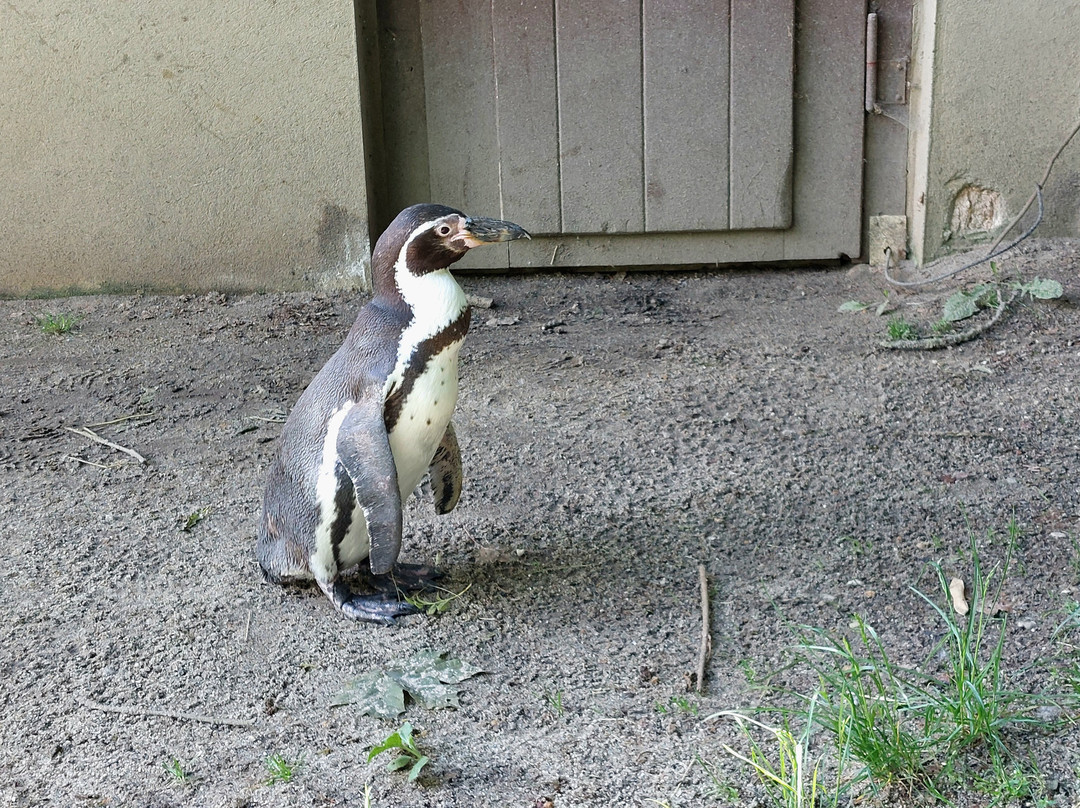 Tierpark Zittau-Zittau必去景点