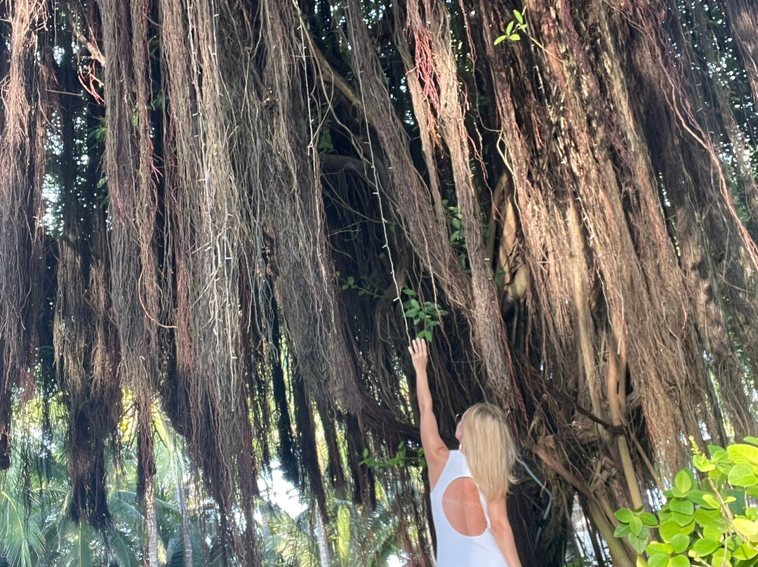 美奈湾度假酒店主图
