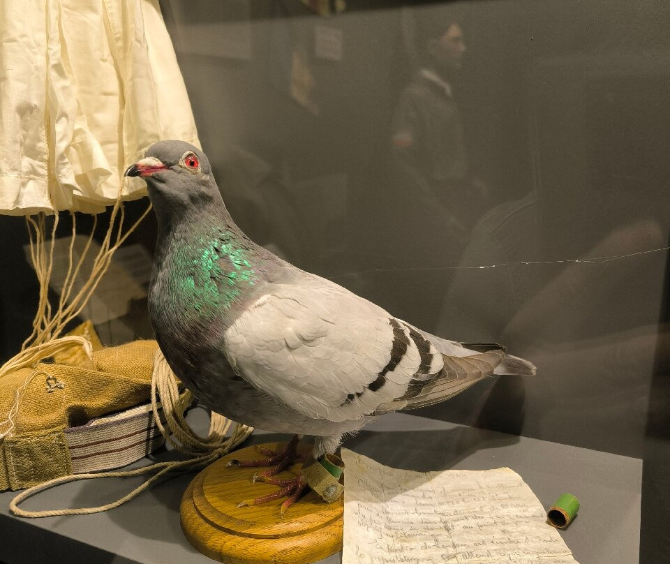 Musee Memoires 39-45-Plougonvelin必去景点