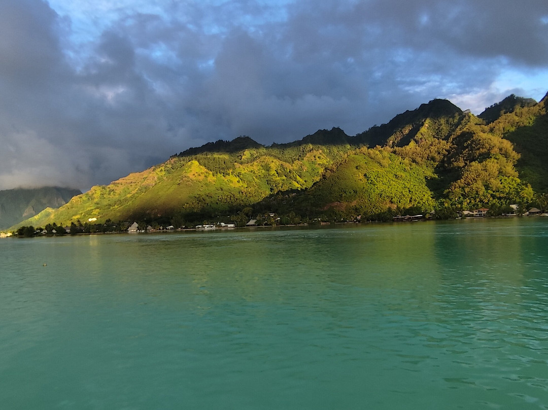 Moorea Tiki Tour-Paopao必去景点