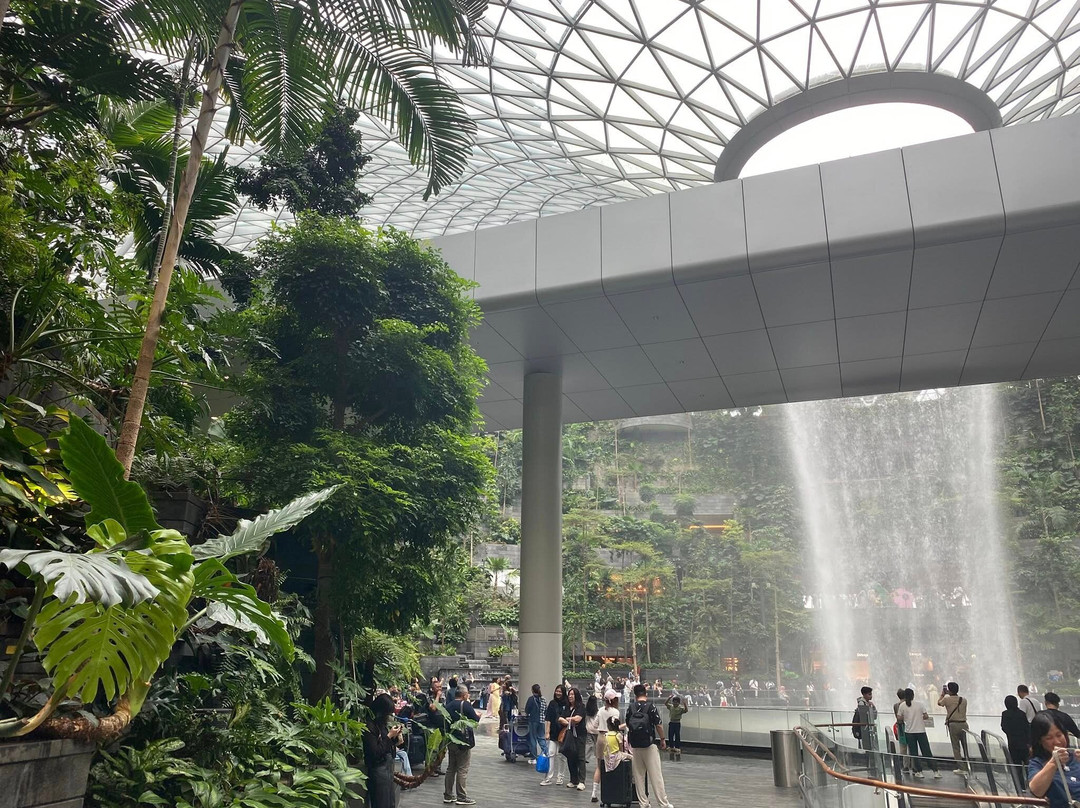 Jewel Changi Airport-新加坡必去景点