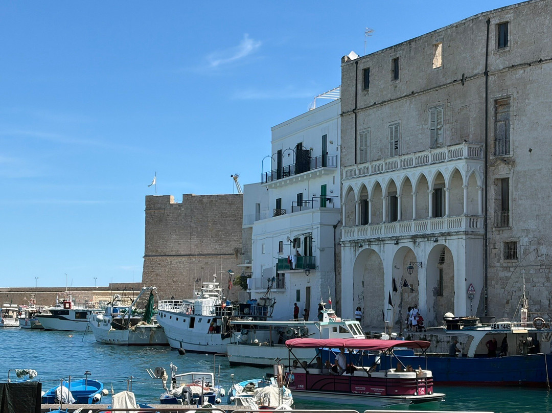 Porto antico di Monopoli-莫诺波利必去景点