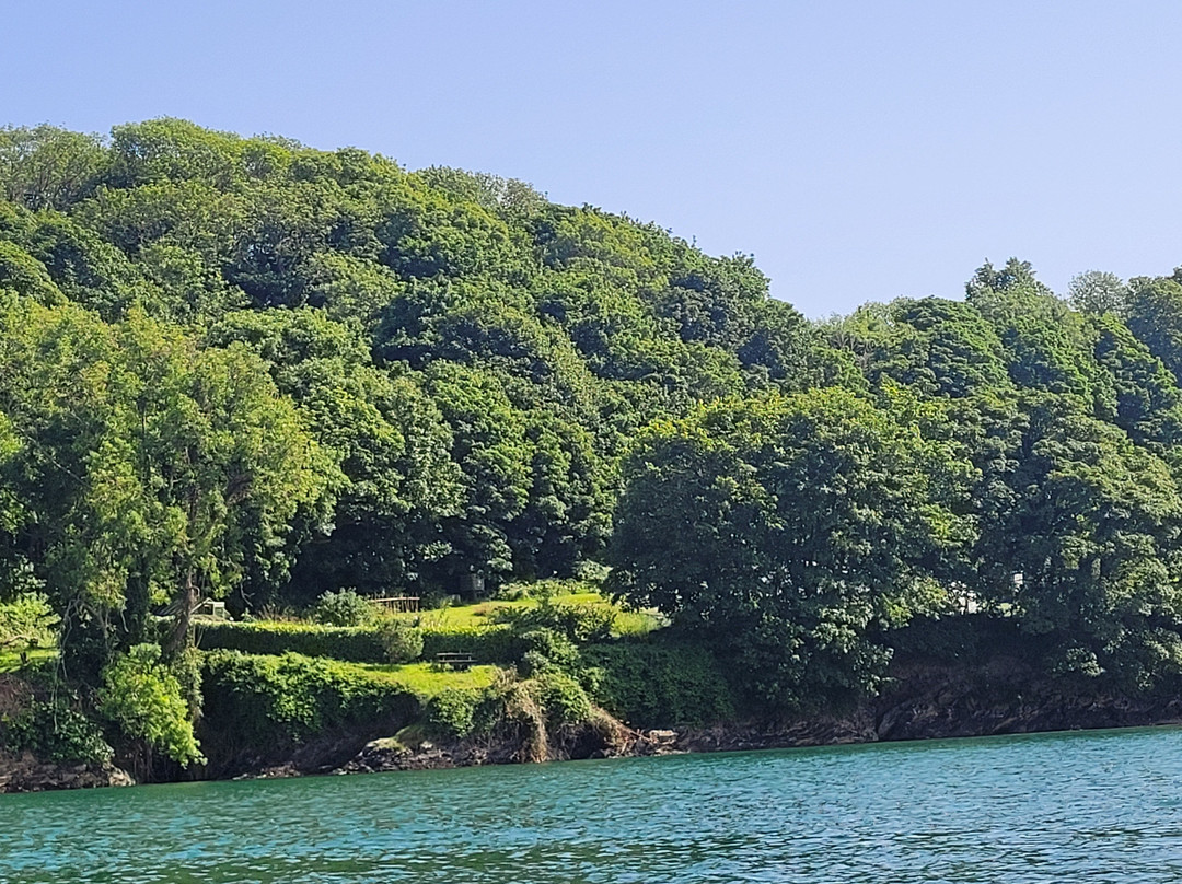 Helford River Cruises-Mawnan Smith必去景点