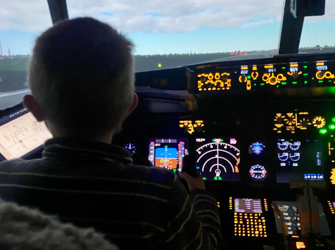 Sandpiper Flight Simulator-Somersham必去景点