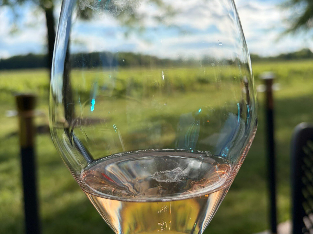 Two Sisters Vineyards-滨湖尼亚加拉必去景点