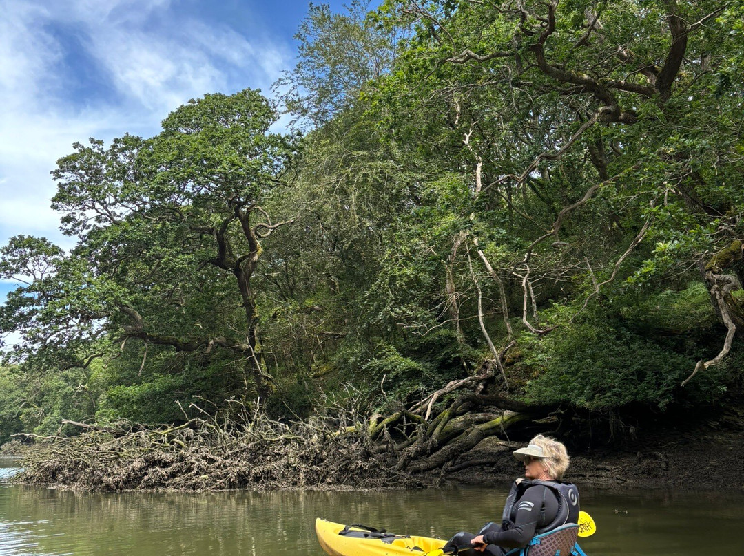 Koru Kayaking-St Agnes必去景点