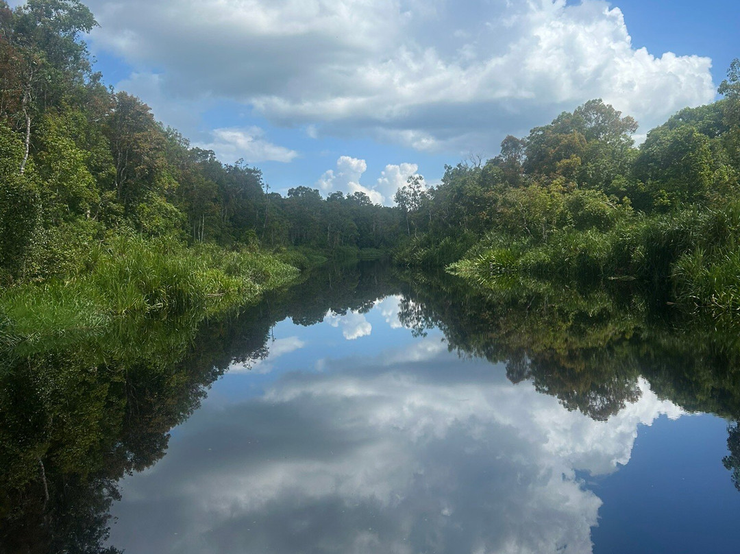 Tanjung Puting Borneo Tour-Pangkalan Bun必去景点