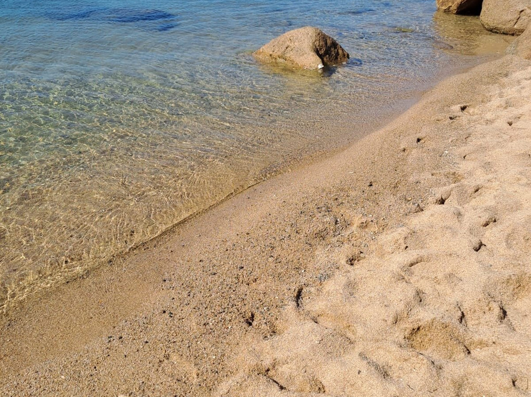 Spiaggia Li Cuncheddi-奥尔比亚必去景点