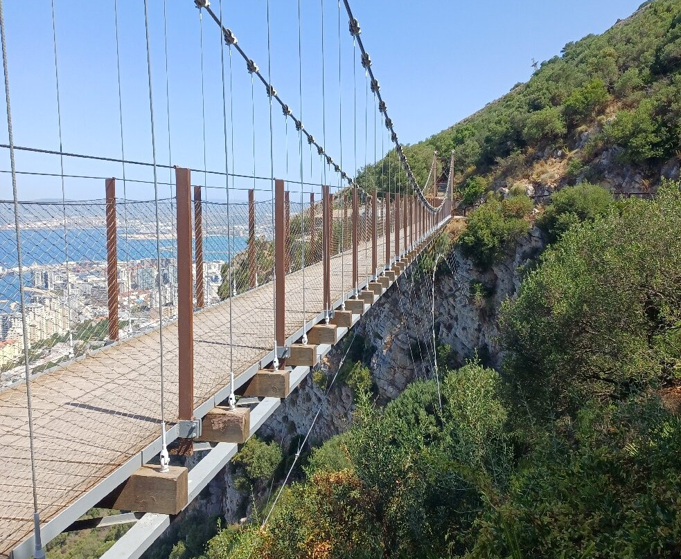 Windsor Suspension Bridge-Westside必去景点