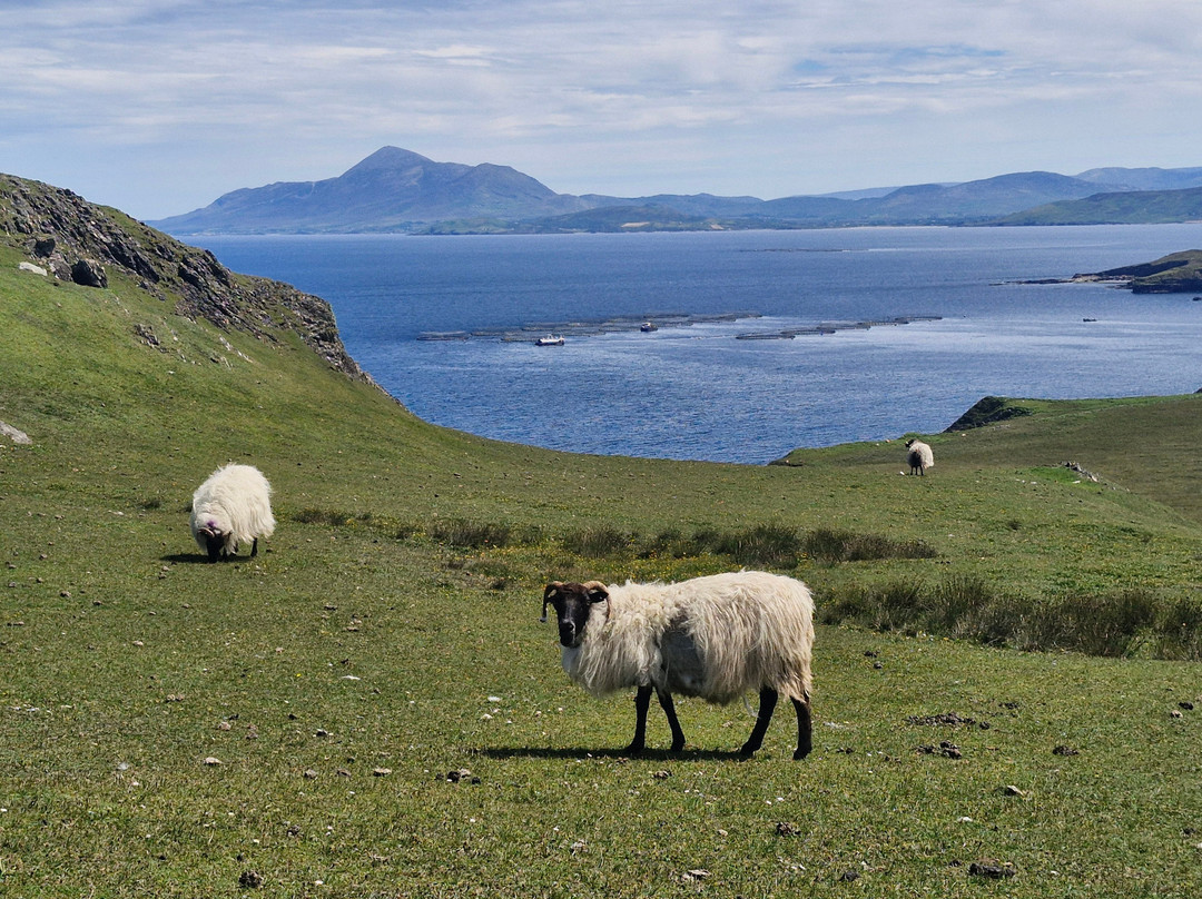 Clare Island-County Mayo必去景点