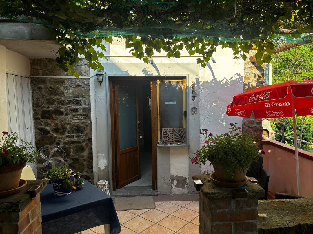 Il Giardino Segreto主图