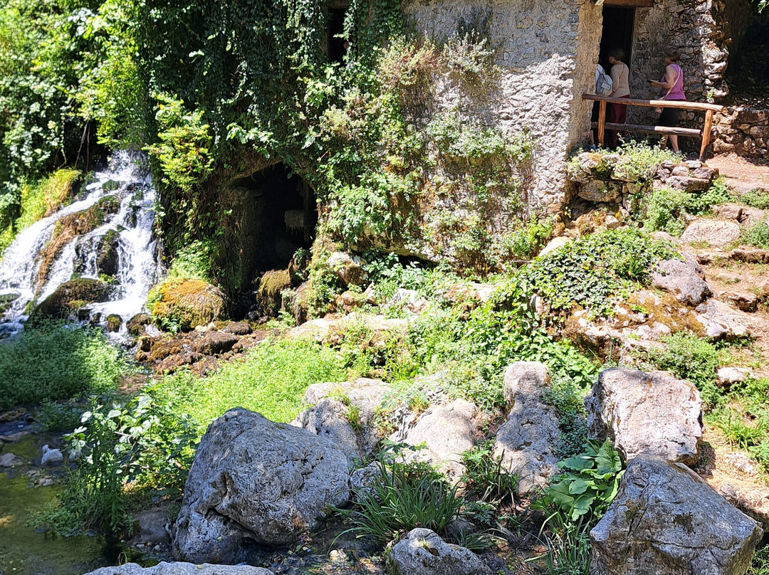 Oasi WWF Grotte del Bussento-Morigerati必去景点
